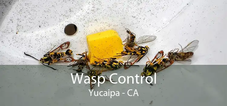 Wasp Control Yucaipa - CA