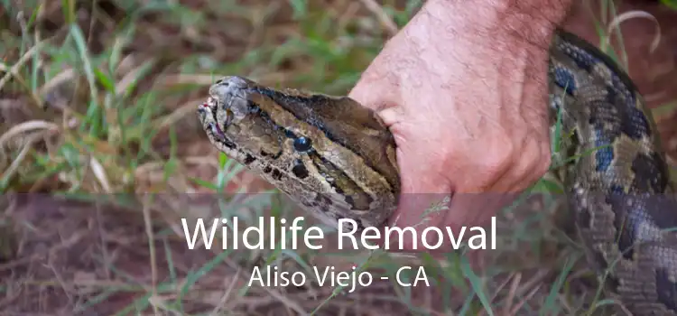 Wildlife Removal Aliso Viejo - CA