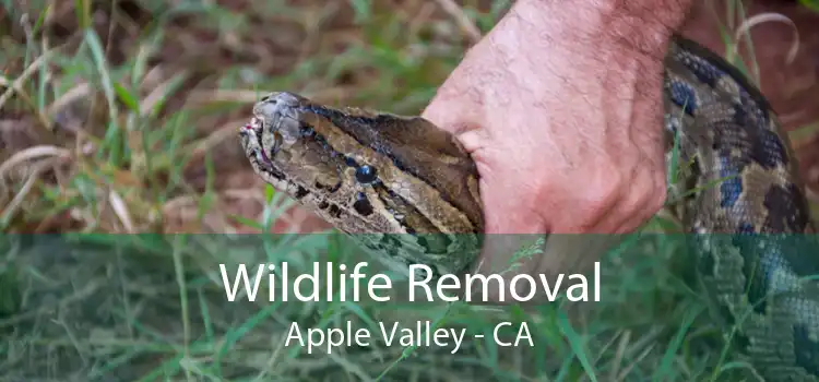 Wildlife Removal Apple Valley - CA