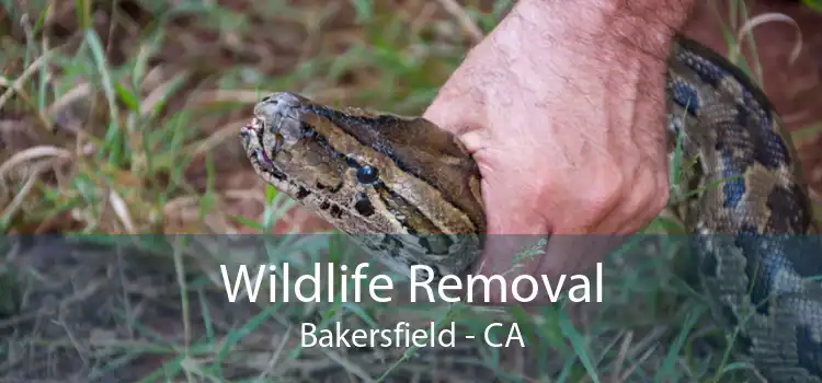 Wildlife Removal Bakersfield - CA