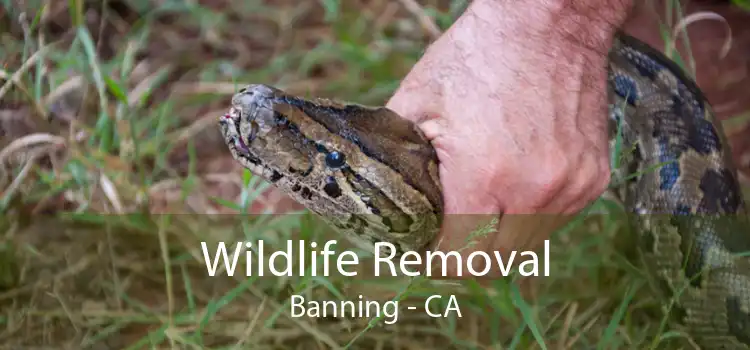Wildlife Removal Banning - CA