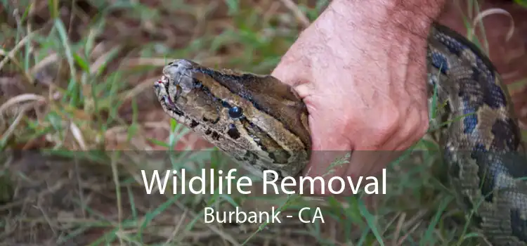 Wildlife Removal Burbank - CA