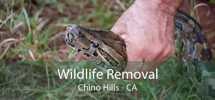 Wildlife Removal Chino Hills - CA