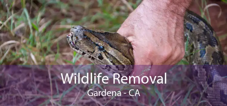 Wildlife Removal Gardena - CA