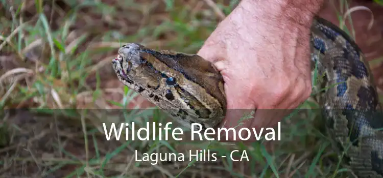 Wildlife Removal Laguna Hills - CA