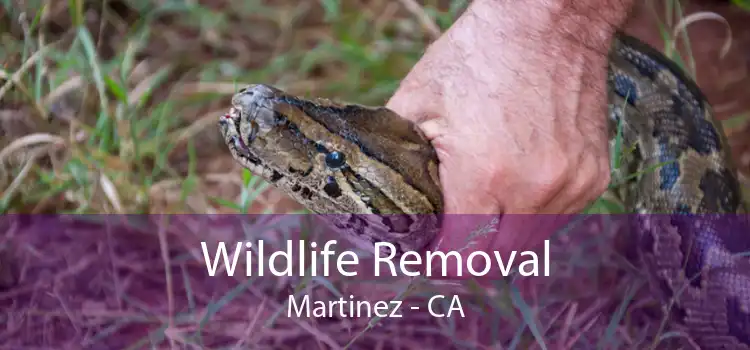 Wildlife Removal Martinez - CA