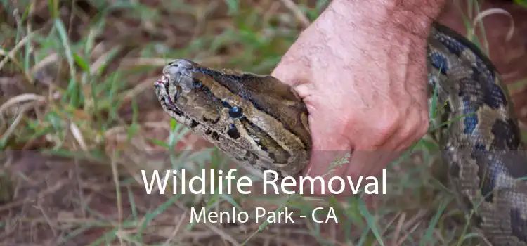 Wildlife Removal Menlo Park - CA