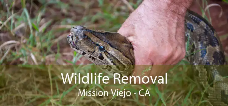 Wildlife Removal Mission Viejo - CA