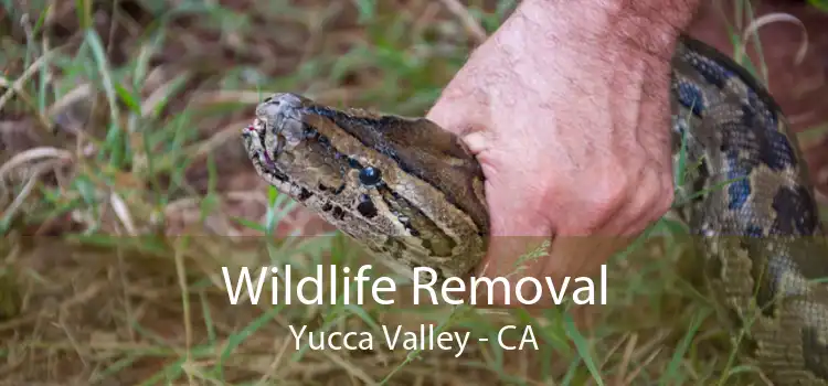 Wildlife Removal Yucca Valley - CA