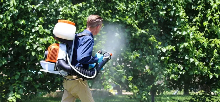 Backyard Mosquito Control in National City, CA